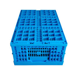 Taze Gıda Yükleme Plastik Katlanır Kasalar 600*400*240 mm Mesh Yapısı