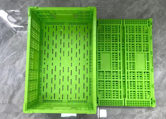 Mesh Taban Hafif Ağırlıklı Yeşil Ciro Katlanabilir Plastik Kasalar