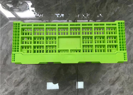Mesh Taban Hafif Ağırlıklı Yeşil Ciro Katlanabilir Plastik Kasalar